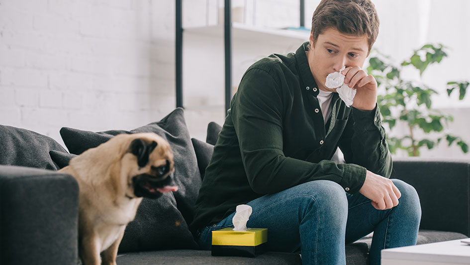 Installing an air purifier is one of the best methods to improve your home’s indoor air quality. Find out more about the three top products. 